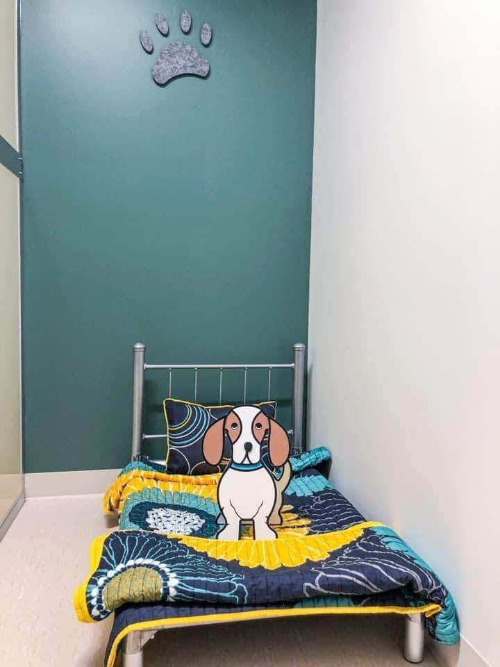 Tender Loving Care Pet Nursing Hotel Pet Suite